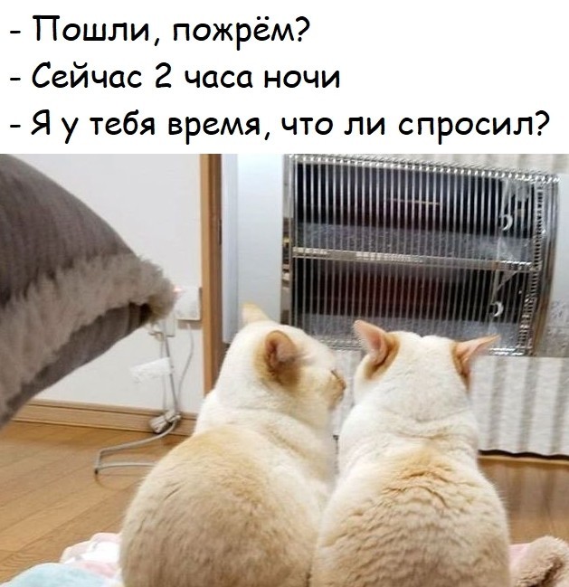 Немножко видосов