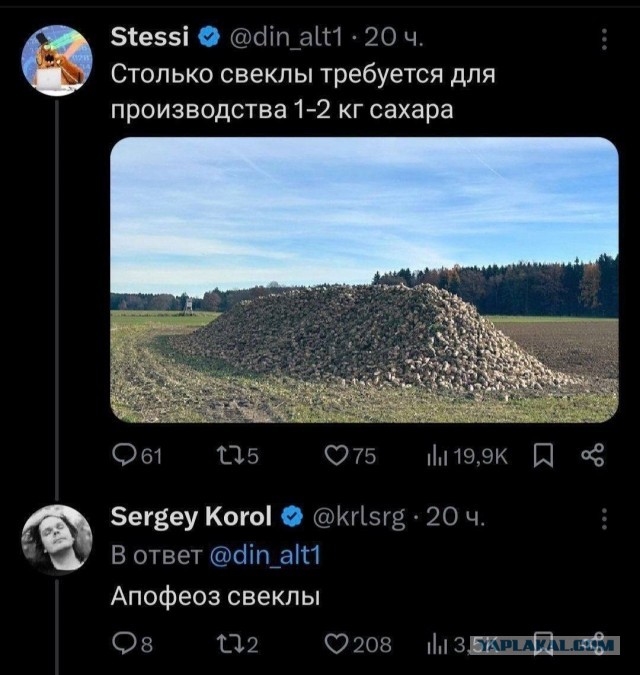 Нуштош. Познание как то, чего следует остерегаться во избежание нервного срыва (s5e6)