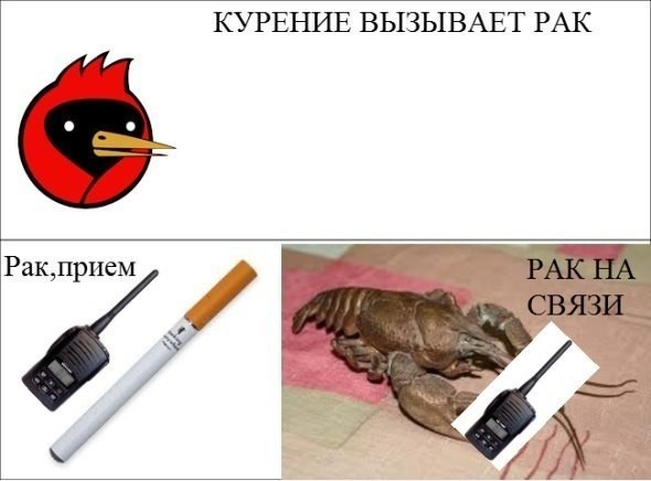 Торседор