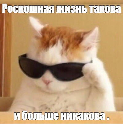 Стоимость бензина по губернаторским талонам в Севастополе