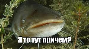 Обещание, которое Педро Порро пронёс через всю жизнь