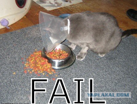 Подборка забавных и курьезных фотографий