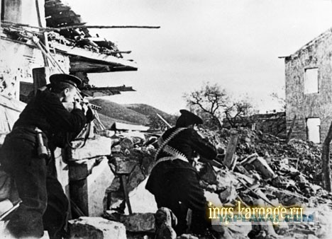 Черный волк