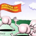 Ищу приключения