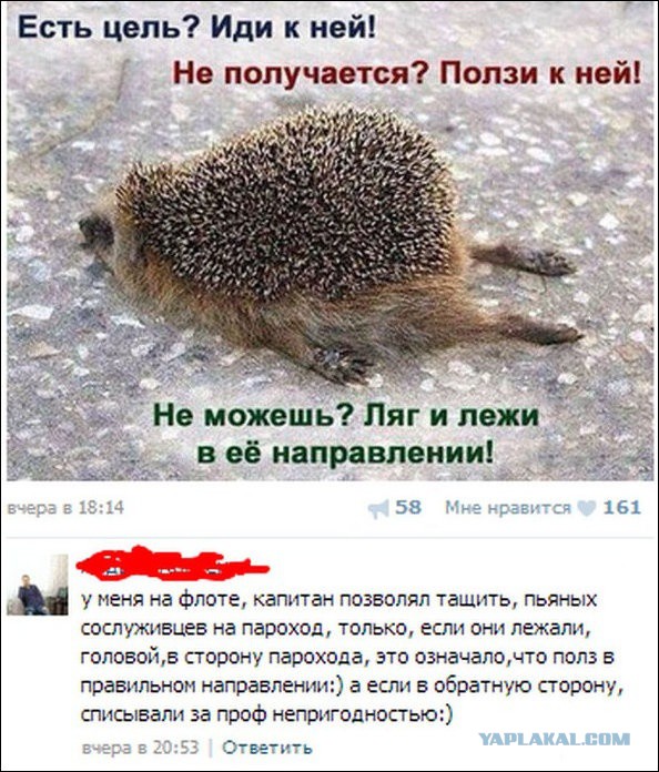 Комментарии из социальных сетей