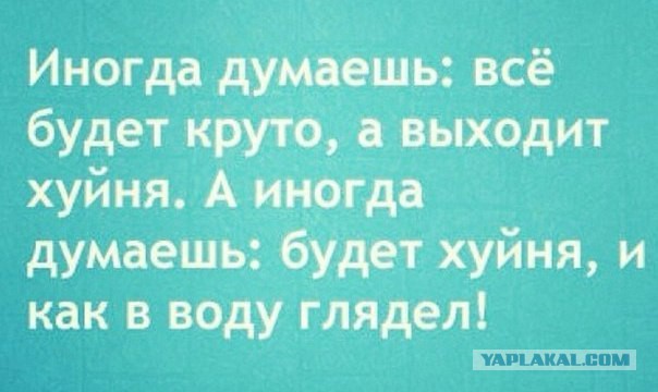 Комментарии из соцсетей, картинки