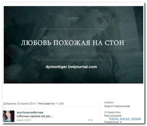 Смешные комментарии из социальных сетей 19.11.14