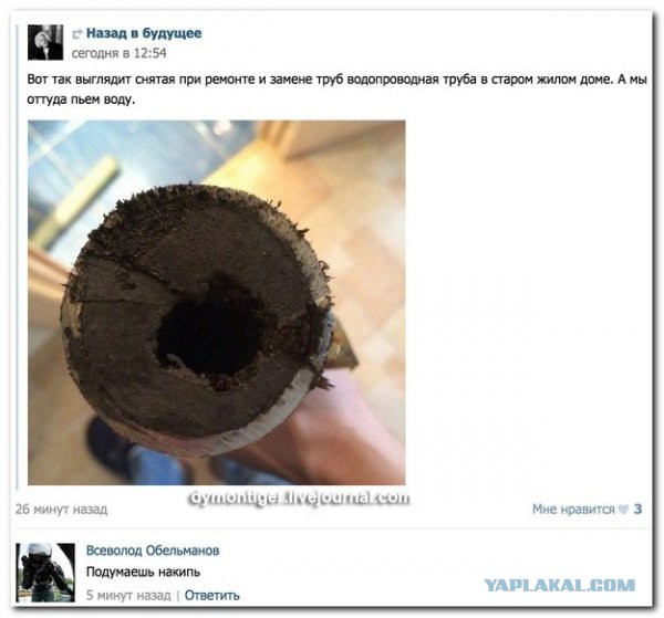 Смешные комментарии из соцсетей