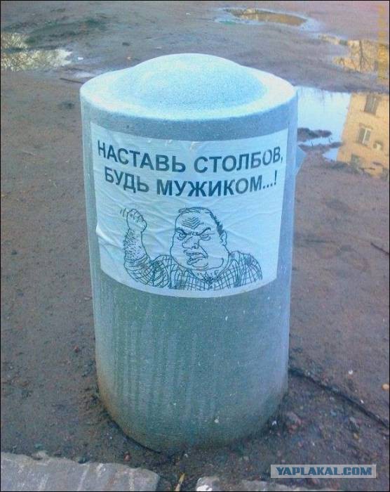 Картинок из сети немножко