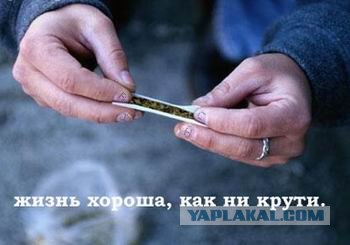 Куда ведёт таинственный люк?