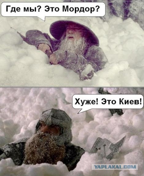 Политические карикатуры