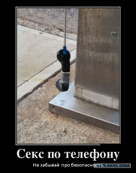 Подборка веселостей из сети