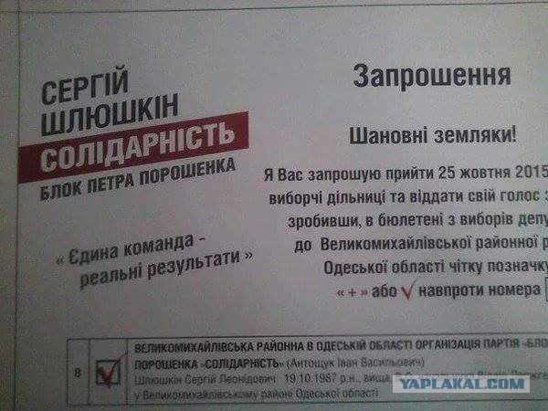 Выборы-выборы! Кандидаты... молодцы.