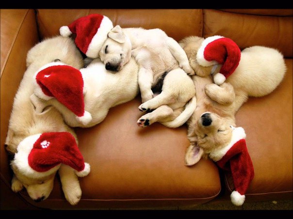 Разные картинки