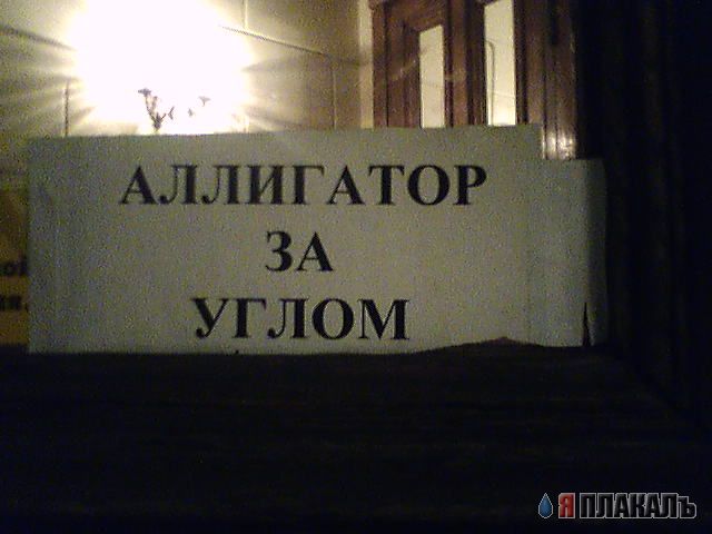 ВЫВЕСКИ, ТАБЛИЧКИ. Смешные и прикольные