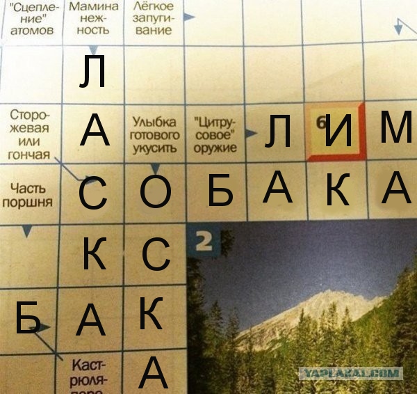 Пример железной логики