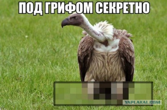 Абсурдный юмор ч.2