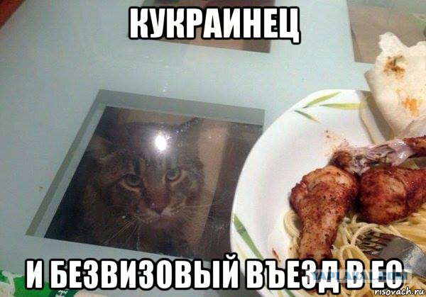 Россия приостановила движение грузовых транспортных средств, зарегистрированных на Украине