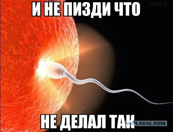 Картинки из ваших этих итернетов...