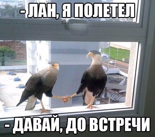 Подборка картинок