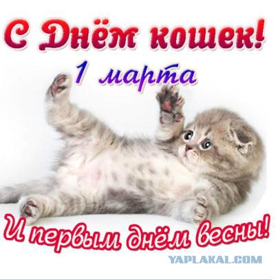 Когда ничего не предвещало беды