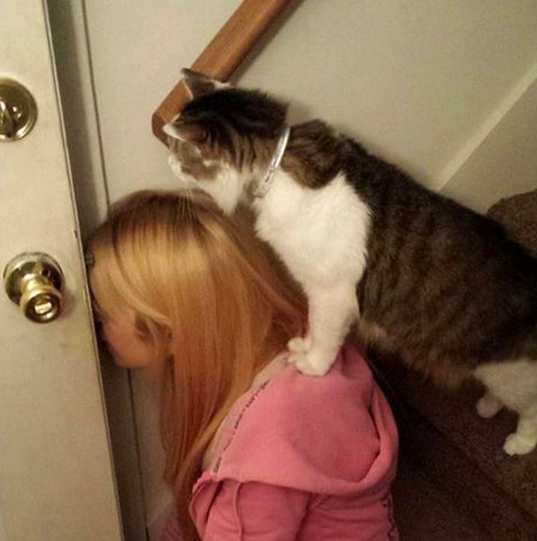 Подборка интересных и веселых картинок