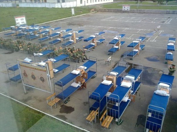 Интересные и веселые картинки