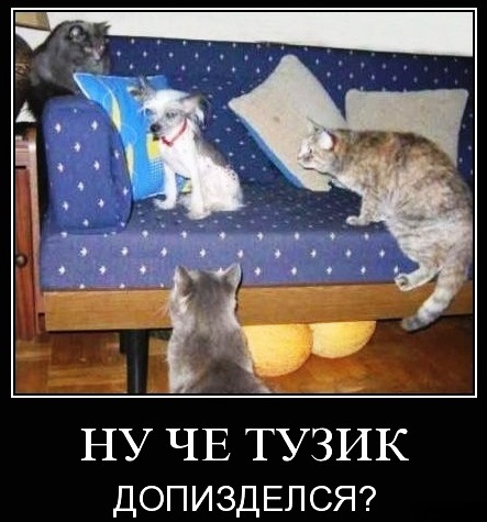 Подборка интересных и веселых картинок