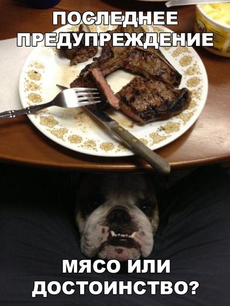 Мохнатые беспредельщики