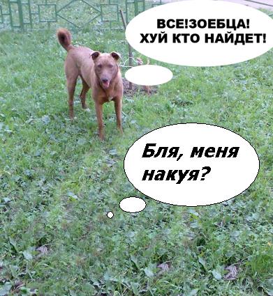 Фотожаба: да здесь где-то недалеко!