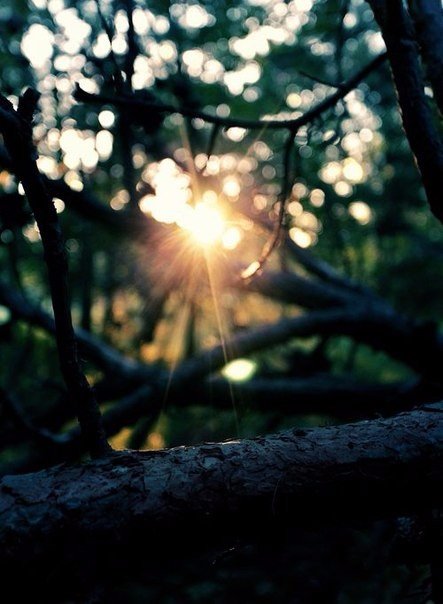 Картинки для отдыха глаз