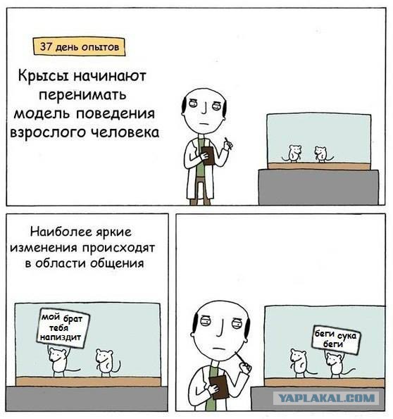 Юмор не для всех