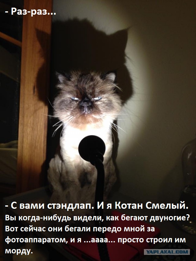 Настало время леденящих душу историй