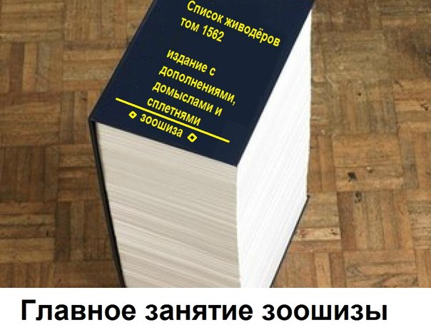 Жительницу Подмосковья ударили шокером из-за пуделя