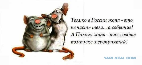 Несколько веселых картинок