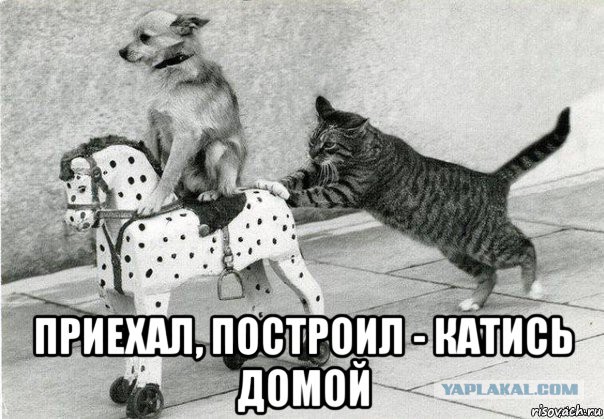 Массовая внутренняя миграция угрожает будущему России — эксперты