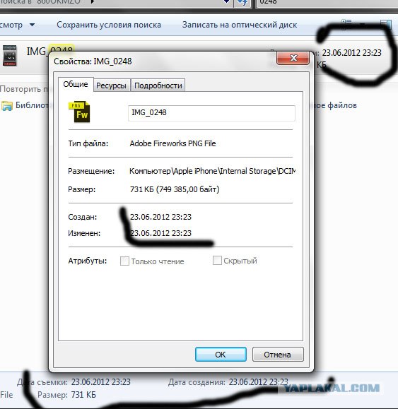 Волшебные грибочки