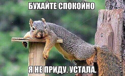 Оно уже близко...