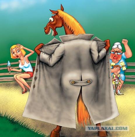 Get On My Horse - Прыгай на лошадку