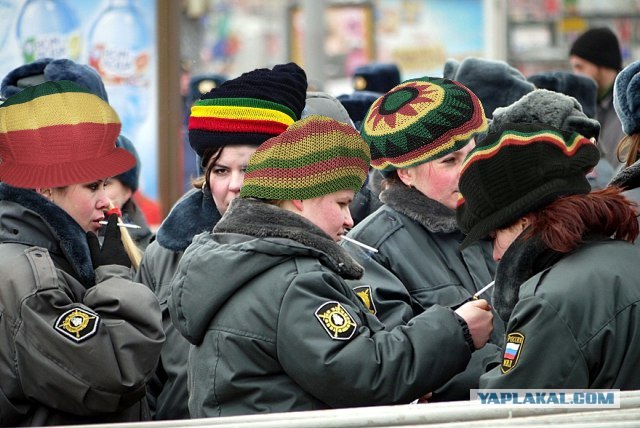 Выходи, приехали )