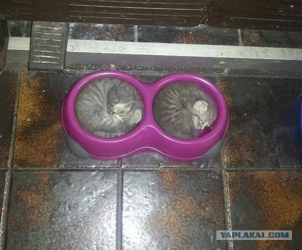 Лёгкого перфекционизма пост