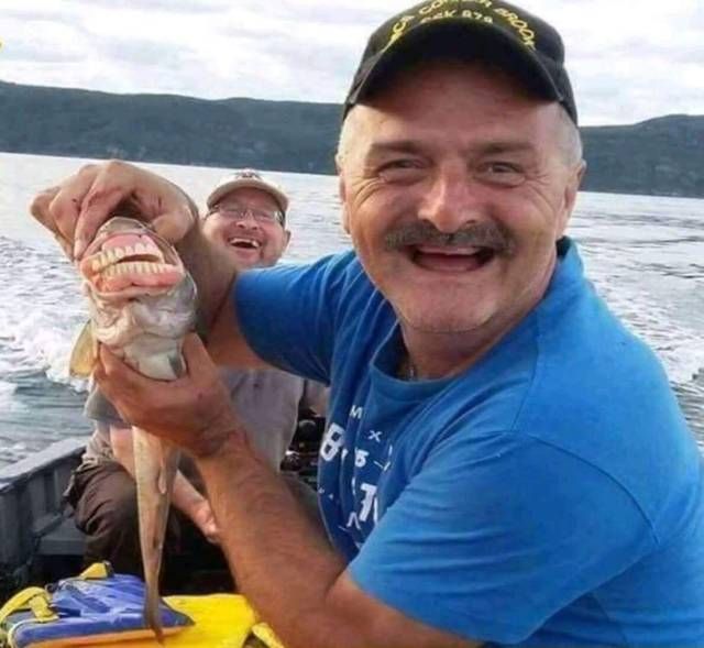 Да что тут вообще происходит?