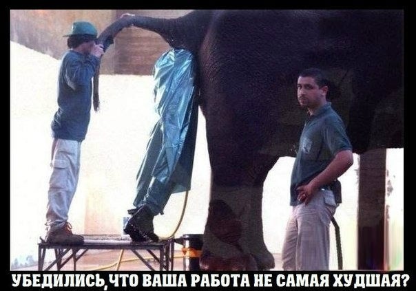 Кому завтра в офис на работу