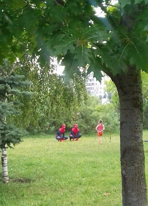 WTF: что тут происходит?