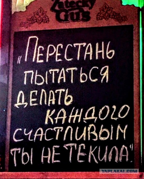 Анекдоты, соц-сети и картинки с надписями