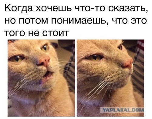 Разных картинок псто 07.08.19