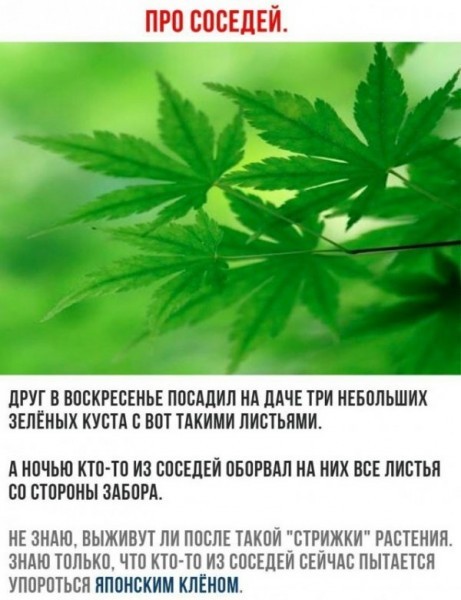 Немного картинок для настроения 14.11.19