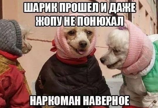 14383048.jpg