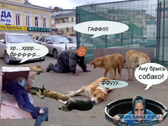 Лучший друг человека.... или наоборот!?