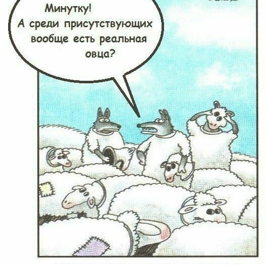 Правительство Германии: Навальный был отравлен ядом, схожим с «Новичком»